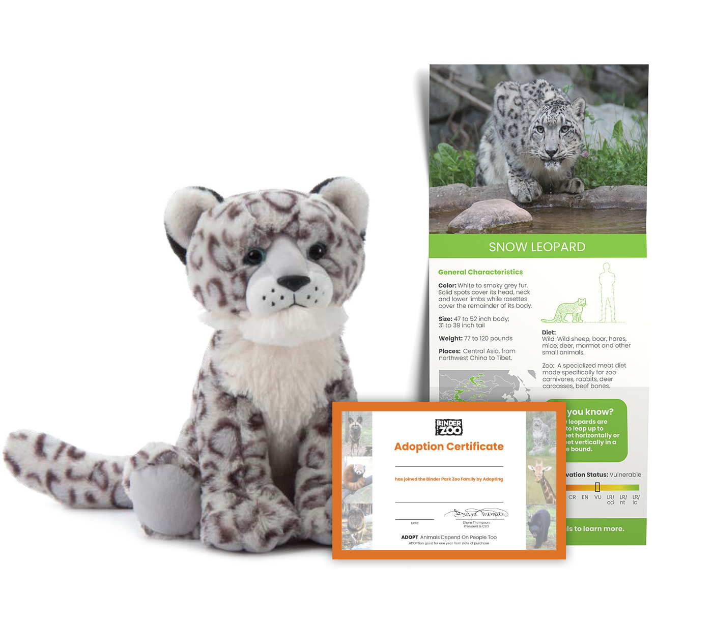 Snow Leopard Adopt