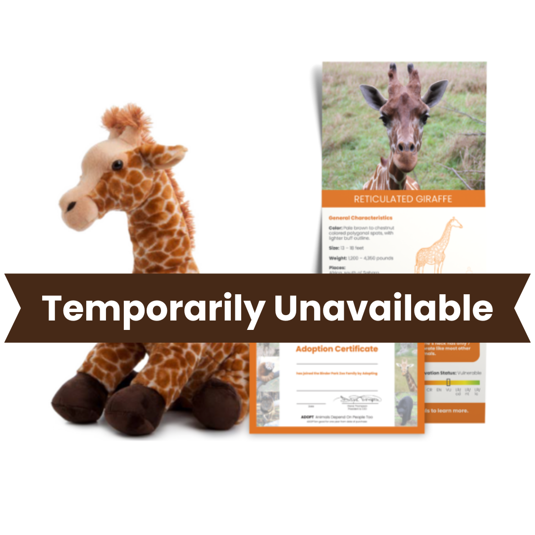 Temporarily Unavailable Giraffe Adopt