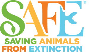 safe_logo_web
