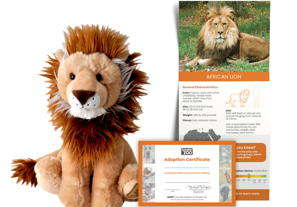 African Lion Adopt