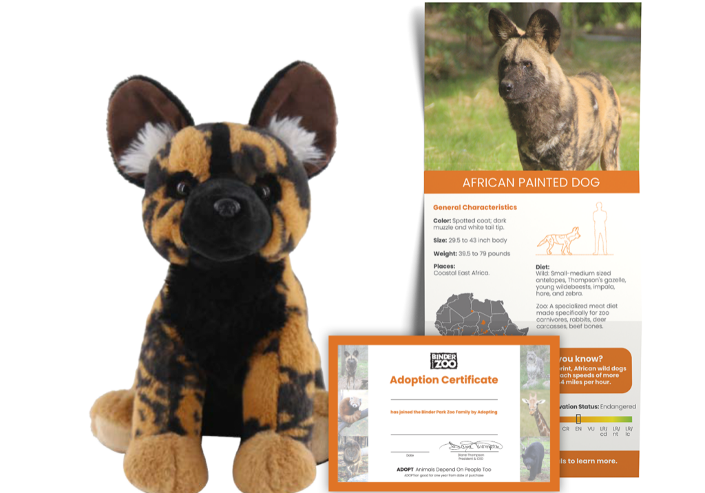 African Painted Dog Adopt