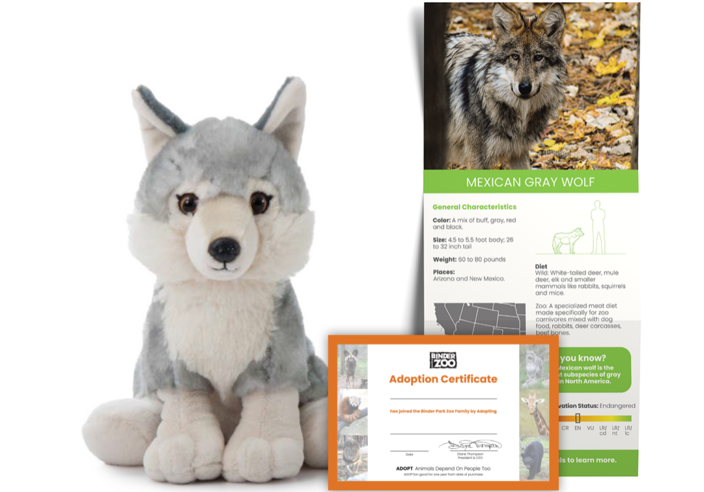 Mexican Grey Wolf