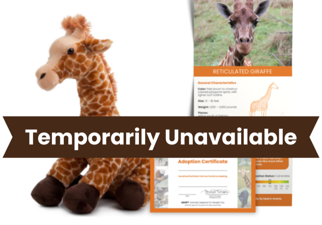 Temporarily Unavailable Giraffe Adopt