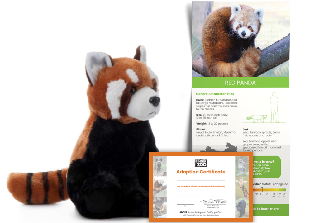 Red Panda Adopt