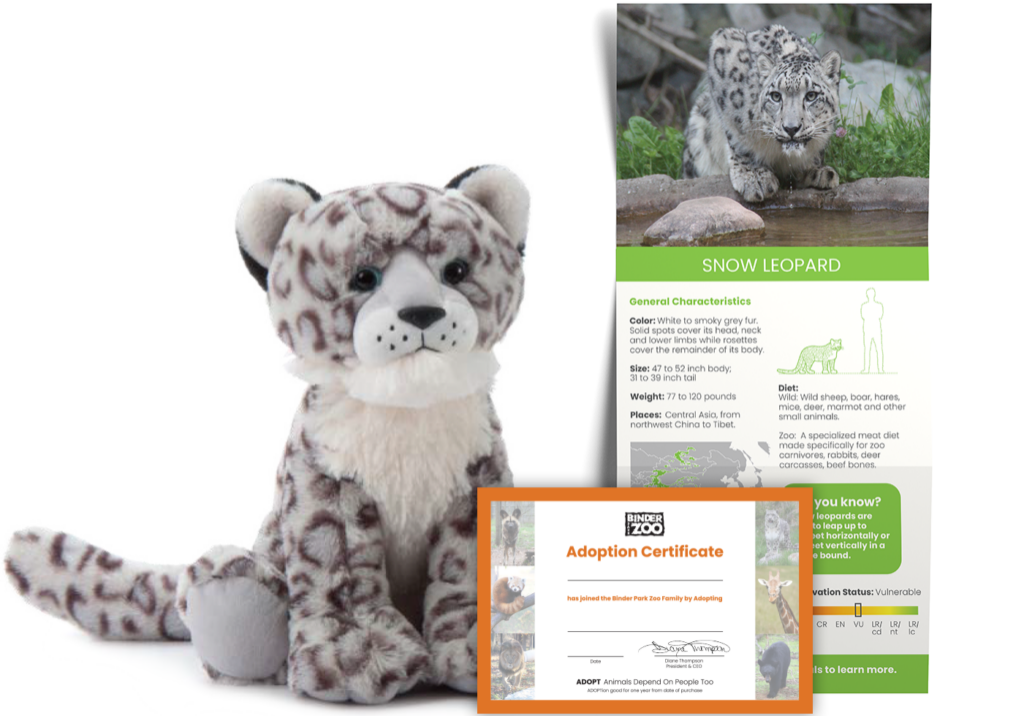 Snow Leopard Adopt